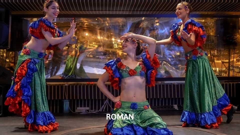 Bosphorus Cruise : Dinner + Unlimited Soft Drinks + Private Standart Table + Turkish Shows with Hotel Transfer